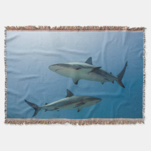 Caribbean Reef Shark Decke