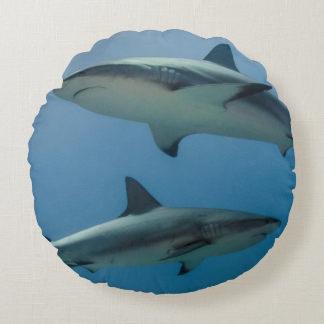 Caribbean Reef Shark Rundes Kissen (Vorderseite)