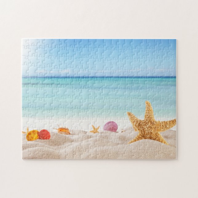 Caribbean Seashells  (Horizontal)