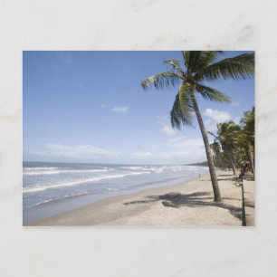 Caribbean - Trinidad - Manzanilla Beach - 2 Postkarte