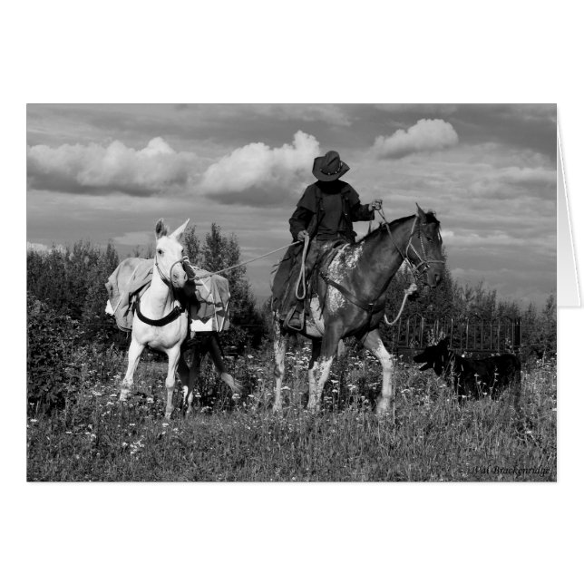 Cariboo Cowboy Cheval et Mule Cadeaux (Devant horizontal)