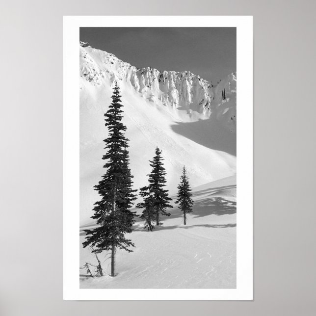 Cariboos: Kleine Folie Poster (Vorne)