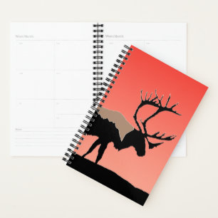 Caribou au coucher du soleil - Art original de la
