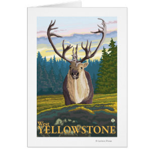 Caribou en pleine nature - West Yellowstone, MT
