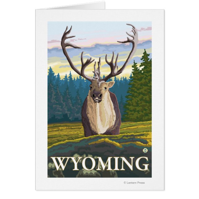 Caribou en pleine nature - Wyoming (Devant)