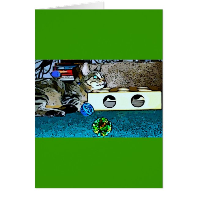 Caricature Indigo (Devant)