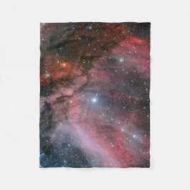Carina-Nebelfleck um den Wolf-Rayet Stern WR 22 Fleecedecke