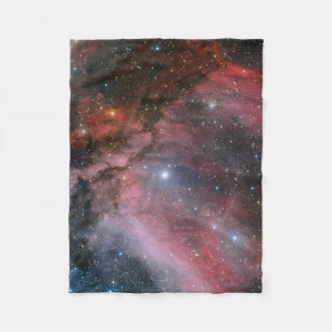 Carina-Nebelfleck um den Wolf-Rayet Stern WR 22 Fleecedecke