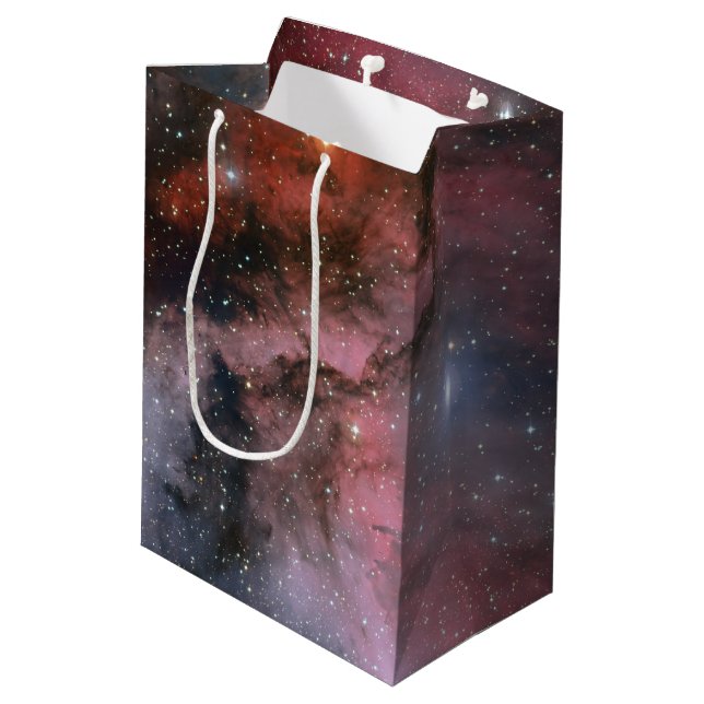 Carina-Nebelfleck, Wolf-Rayet Stern WR 22 Mittlere Geschenktüte (Rückseite Schrägansicht)