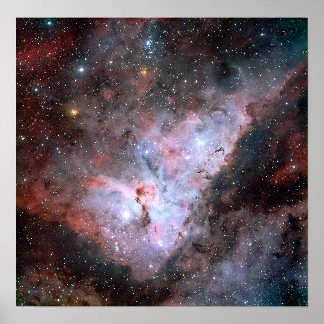 Carina Poster (Vorne)