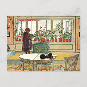 Carl Larsson - Blume über das Windows Postkarte