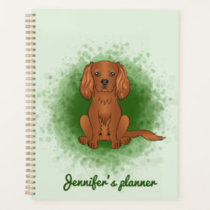 Carlin Cavalier King Charles Spaniel Ruby de coule