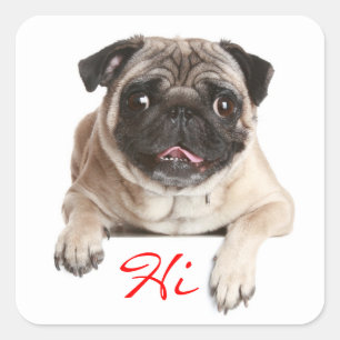 Carlin Chien Chien Chien Bonjour Stickers de voeux
