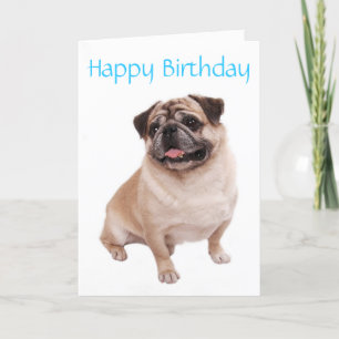 Carlin Chien Chien Chien Heureux Carte d'Anniversa