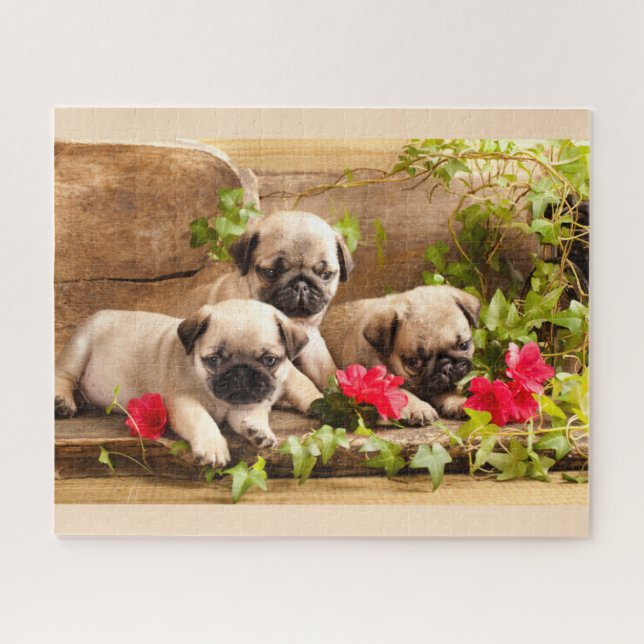 Carlin chiots parmi les puzzle de fleurs (Horizontal)