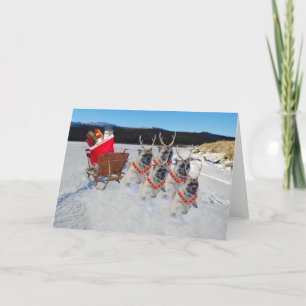 Carlin de Noël Sleigh Carte de voeux