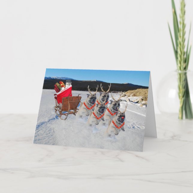 Carlin de Noël Sleigh Carte de voeux (Devant)
