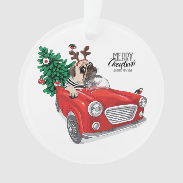 Carlin du Joyeux Noël | conduisant la voiture (devant)