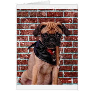 Carlin frais de main