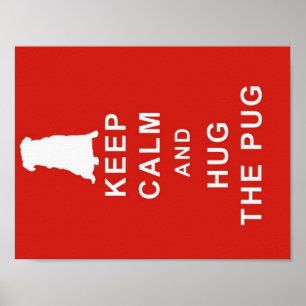 CARLIN GARDER CALME HUG LE CARLIN POSTER IMAGE ANN