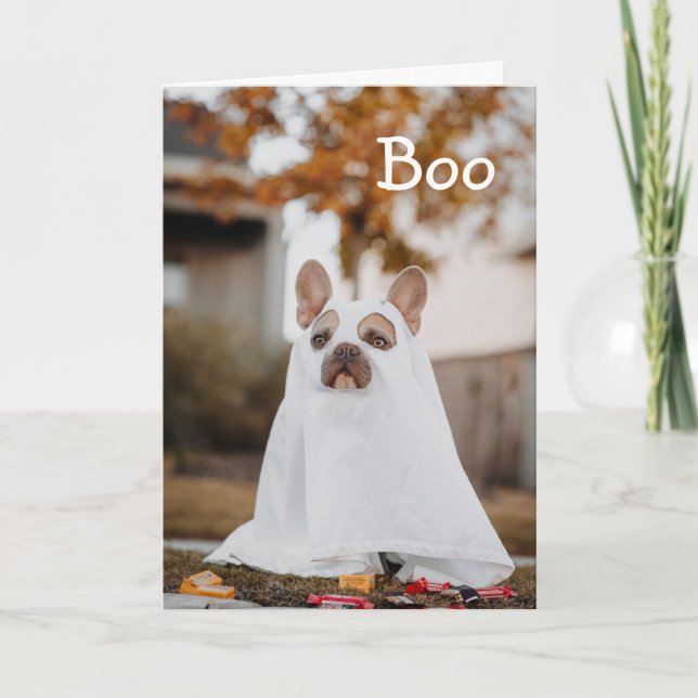 Carlin Ghost Dog Carte de vacances Halloween (Devant)