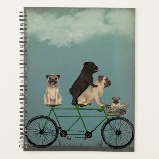 Carlin Tandem (Devant)