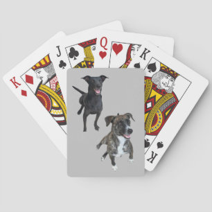 Carlos dogs spielkarten
