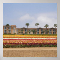 Carlsbad Blume Field
