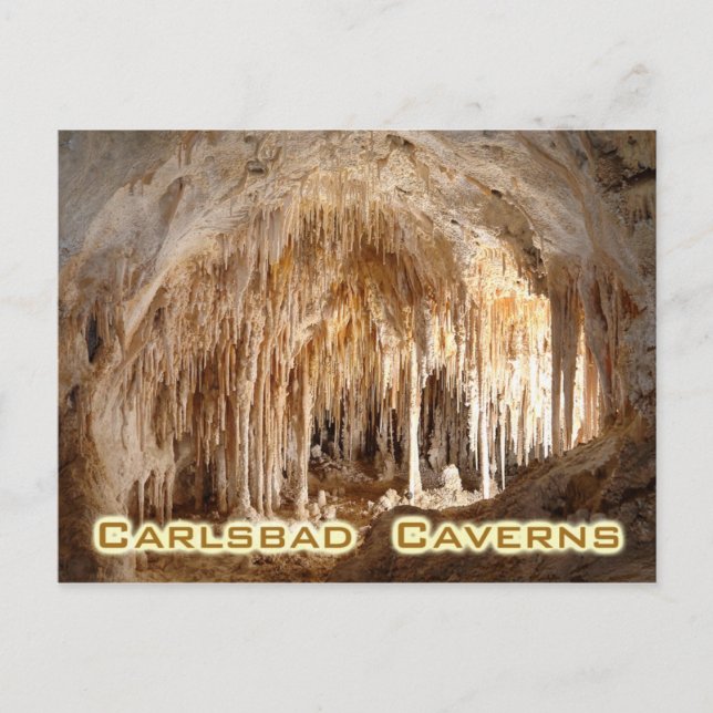 Carlsbad Caverns National Park, New Mexico Postkarte (Vorderseite)