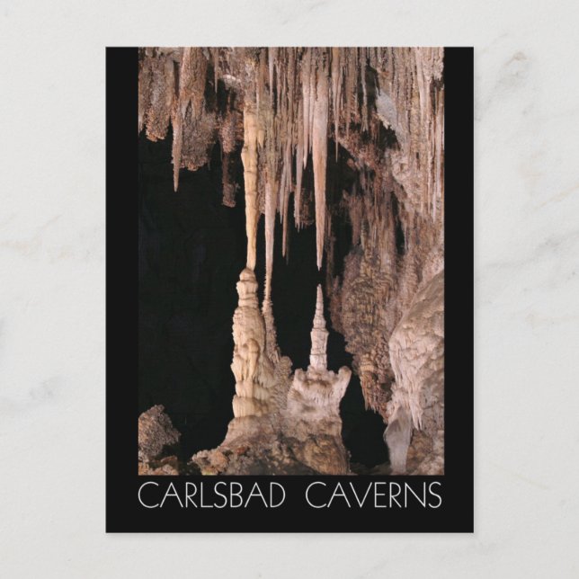 Carlsbad Caverns National Park, New Mexico Postkarte (Vorderseite)