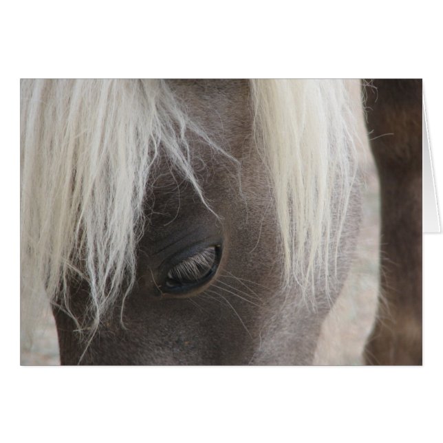 Carly, jolie petite fillette (Devant horizontal)