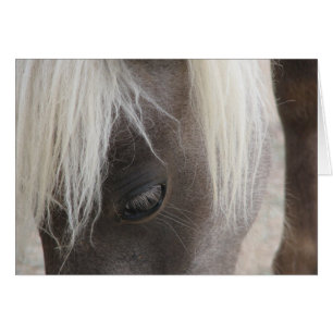 Carly, pouliche assez mini