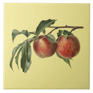 Carman Peaches ~Botanische Tile ~Küche ~Farbe Fliese