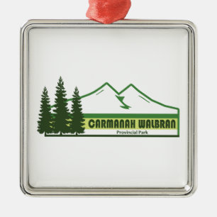 Carmanah Walbran Provinzpark Grüne Streifen Ornament Aus Metall