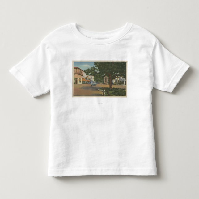 Carmel, CA - Geschäftsgebiet-Ansicht des Kleinkind T-shirt (Vorderseite)