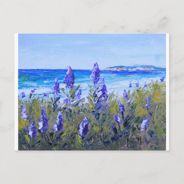Carmel Kalifornien, Strand, Lupinen, Postkarte (Vorderseite)