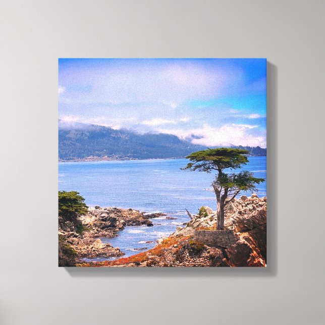 Carmel Lone Tree Stretched Canvas Print Leinwanddruck (Vorderseite)