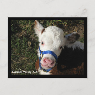 Carmel Valley, CA Postcard Postkarte