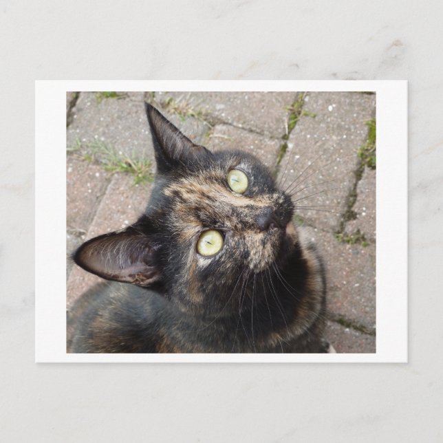 Carmen Postkarte (Vorderseite)