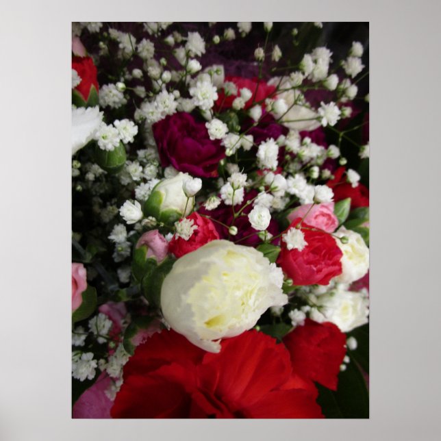 Carnation and Baby Breaths Blume Bouquet Poster (Vorne)