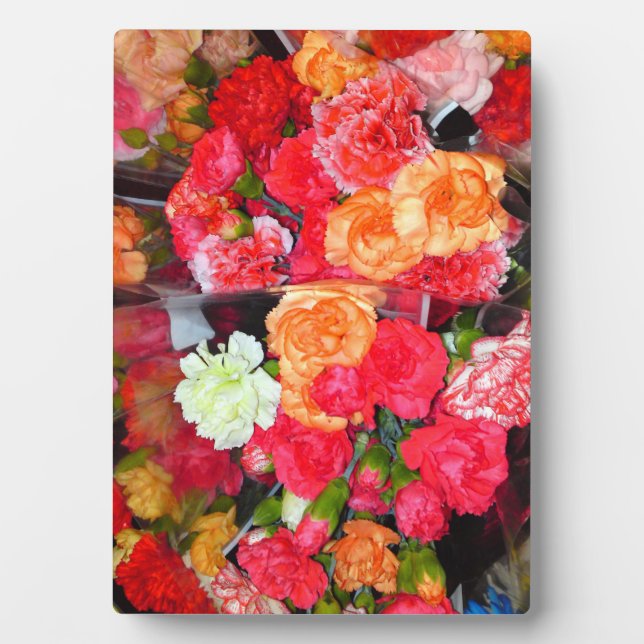 Carnation Blume Mix Foto Plaque Fotoplatte (Vorderseite)