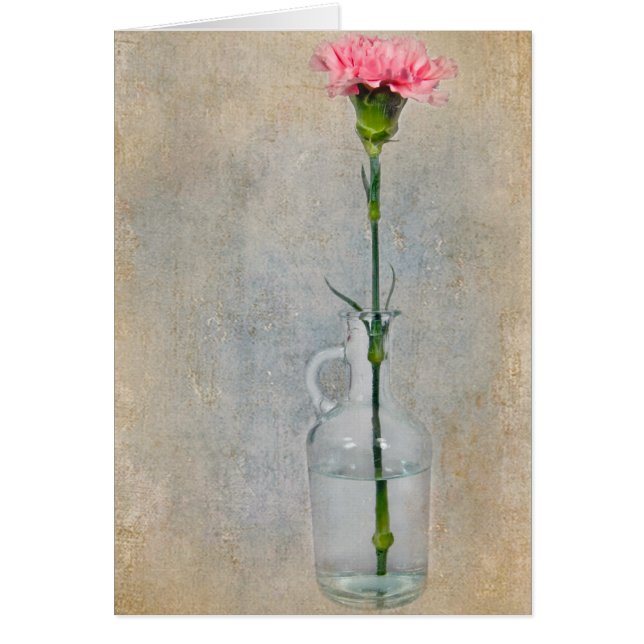 Carnation rose (Devant)