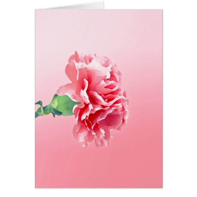 Carnation rose (Devant)