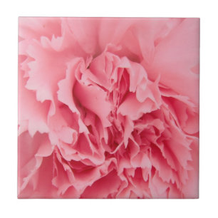Carnation rose Carreau