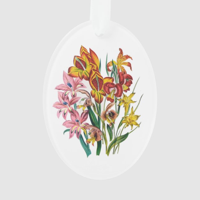 Carnaval des fleurs (dos)
