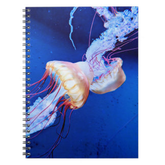 CARNET 黄色いクラゲ フォトノートブック