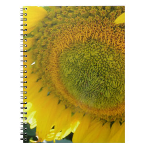 CARNET 057.JPG