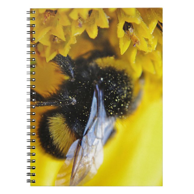 CARNET 101 (Devant)