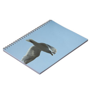 CARNET 2367
