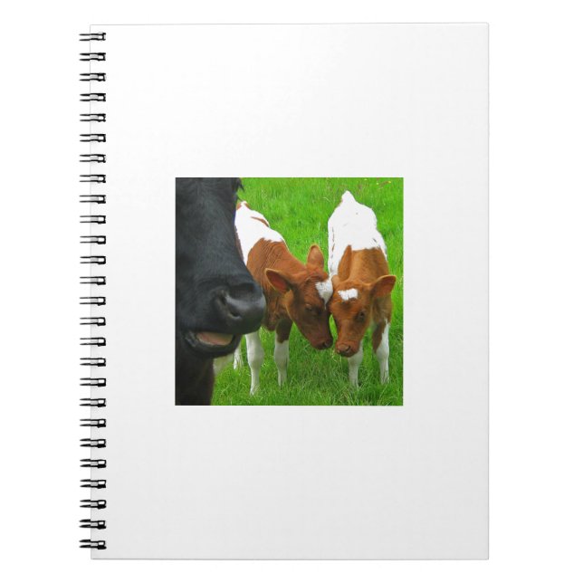 Carnet 2 veaux (Devant)